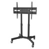 REMATE! Pedestal para Pantallas Interactivas - Conferenciás  - TV  23" a 65"  BRASFORMA