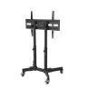 REMATE! Pedestal para Pantallas Interactivas - Conferenciás  - TV  23" a 65"  BRASFORMA